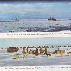 1946 год поход американцев в антарктиду